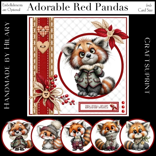 Adorable Red Pandas