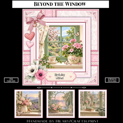Beyond the Window