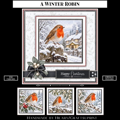 A Winter Robin