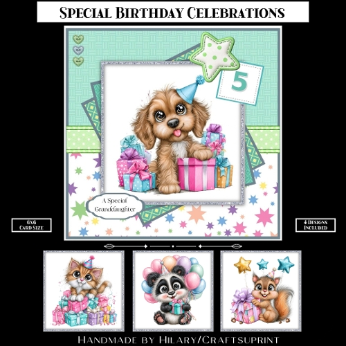 Special Birthday Celebrations