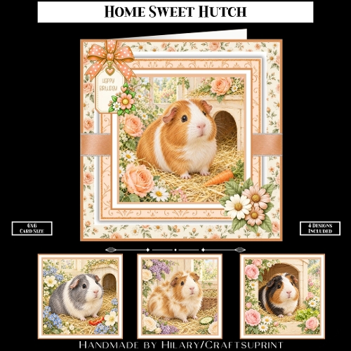 Home Sweet Hutch
