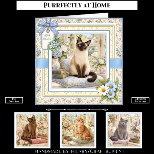 Purrfectly at Home