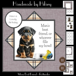 Mans Best Friend - Rottweiler