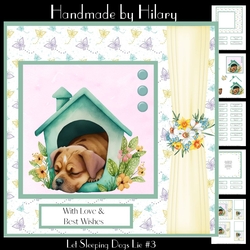 Let Sleeping Dogs Lie #3 (7x7 inch square card)