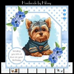 Cute Little Yorkie #1