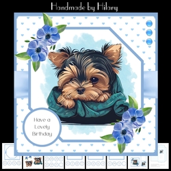 Cute Little Yorkie #2