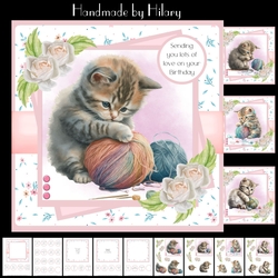 Playful Kittens - Makes 4 Cards (7x7 inch square card kit)
