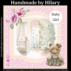 Baby Girl Nursery #2
