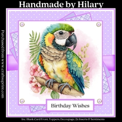 Tropical Parrot (7x7 inch square card kit)