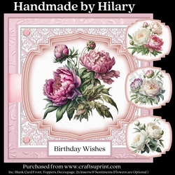 Peony Picks