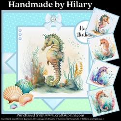 Seahorses and Seashells