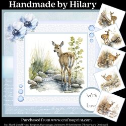 The Little Fawn