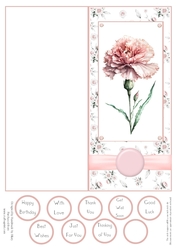 Pink Carnation DL Quick Card