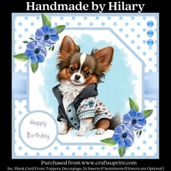 Cute Little Papillon