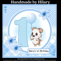 Baby Boys 1st Birthday