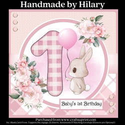 Baby Girls 1st Birthday