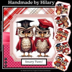 Wise Owls