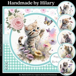 Pretty Kitty