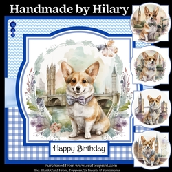 The Cute Cockney Corgie