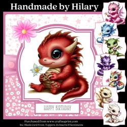 Baby Dragons