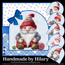 Crafty Christmas Gnomes