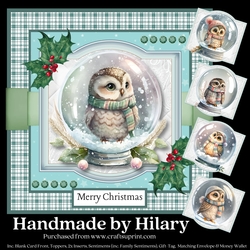 Snowglobe Owls