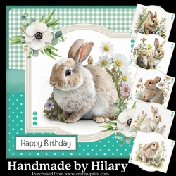 Fluffy Bunnies