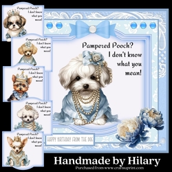 Pampered Pooch