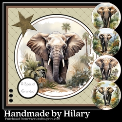 Wild and Free - The African Elephant
