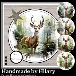 Wild and Free - The Stag