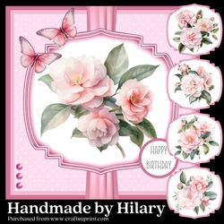 Delicate Camellias