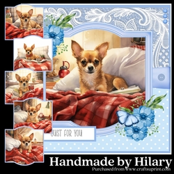 Bedtime Chihuahua - Blue - REQUESTED