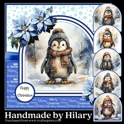 Cute Cosy Penguins