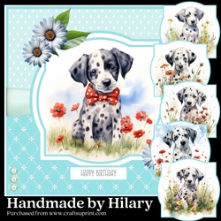 Dalmation Pups
