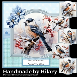 Cute Little Long Tailed Birds