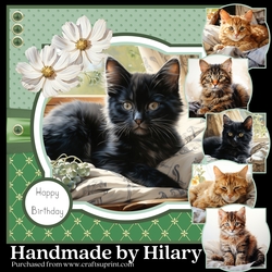 Purrfect Feline Friends