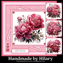 Deep Pink Peonies