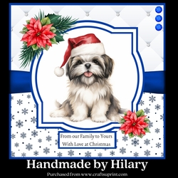 Christmas Shih Tzu