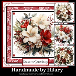 Pretty Poinsettias