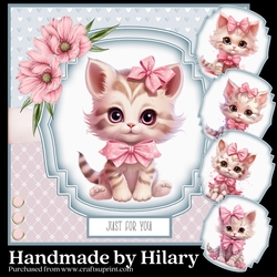 Cute Baby Kitty