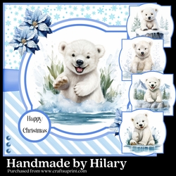 Splish Splash Polar Bear