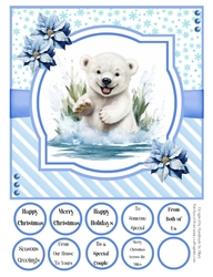 Splish Splash Polar Bear 8x8 Quick Card #1