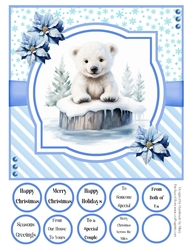 Splish Splash Polar Bear 8x8 Quick Card #2