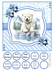 Splish Splash Polar Bear 8x8 Quick Card #4