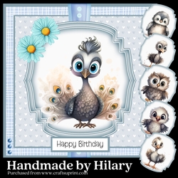Baby Birds