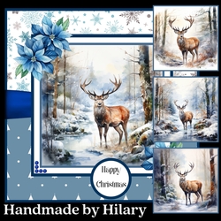 Winter Stag