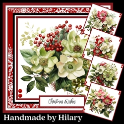 Christmas Hellebores