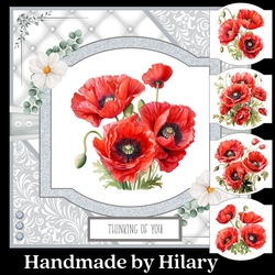 Delicate Poppies