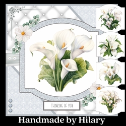 Delicate Calla Lilies