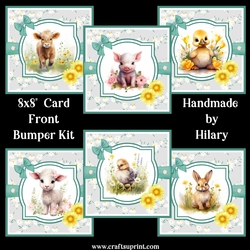 Springtime Baby Animals 8x8 Card Front Bumper Kit